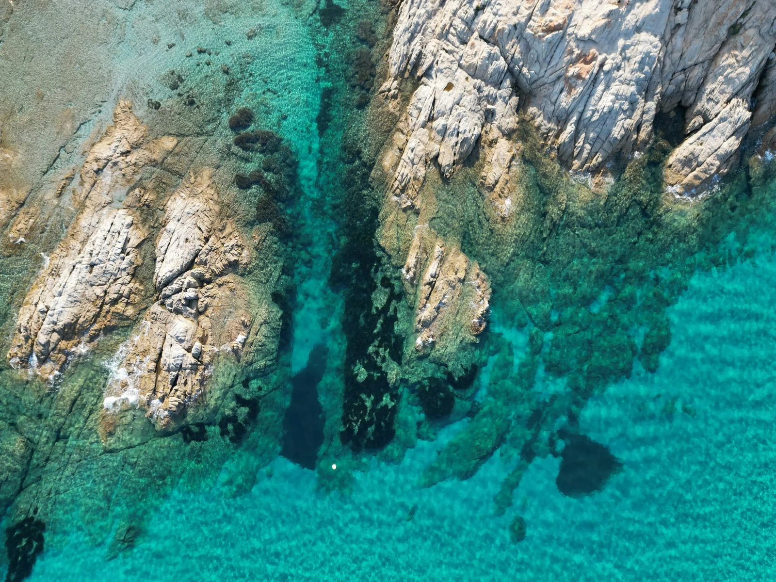 Vue plongeante sur une crique rocheuse de la Côte d’Azur, eau turquoise et rochers clairs.