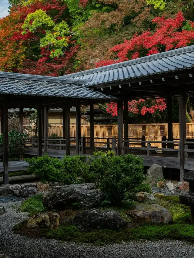 Galerie de bois et érables d’automne dans un jardin de Kyoto