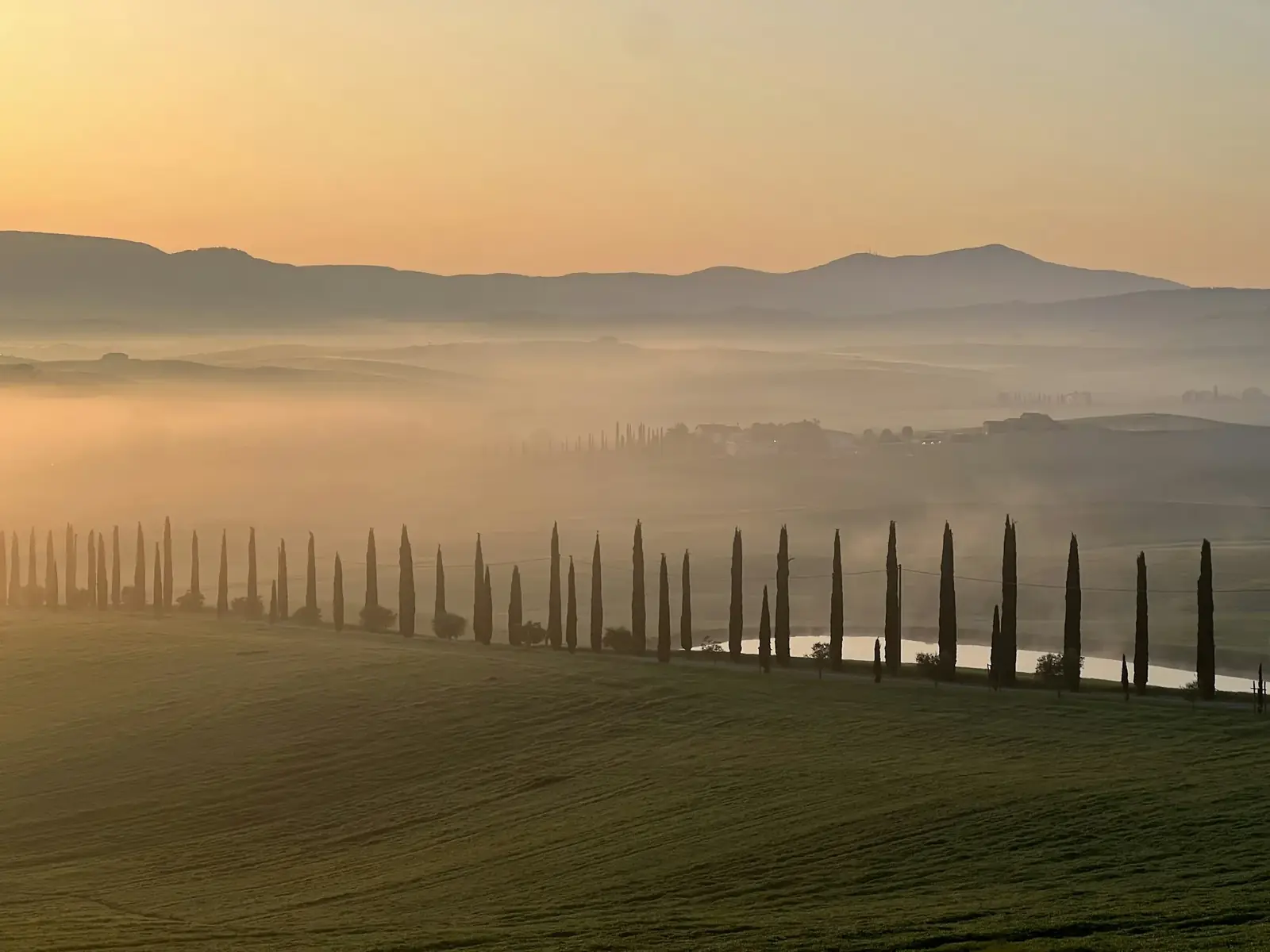 Rangée de cyprès dans le brouillard du Val d'Orcia à l'aube