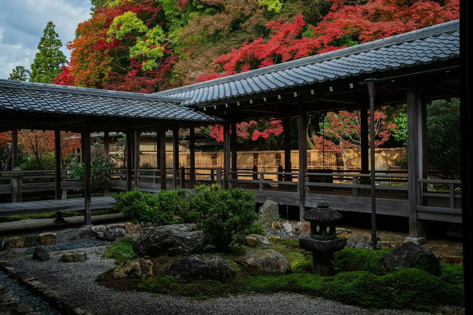 Galerie de bois et érables d'automne dans un jardin de Kyoto