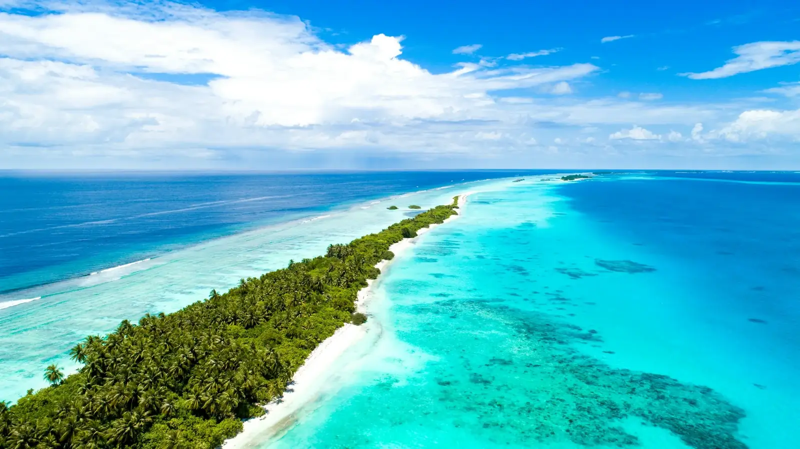 Île étroite et récif vus du ciel