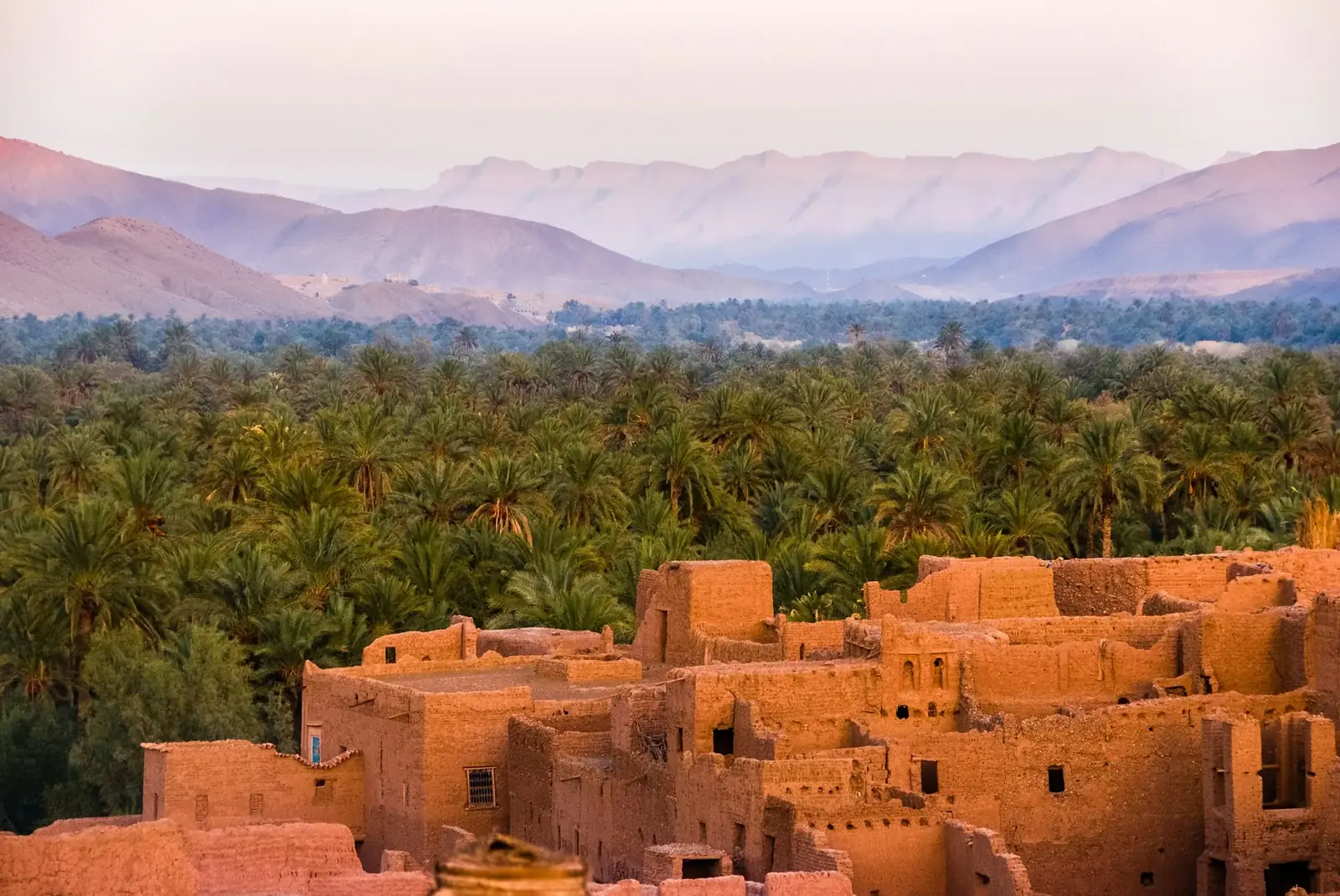 Kasbah de Tamnougalt et palmeraie du Drâa au soir