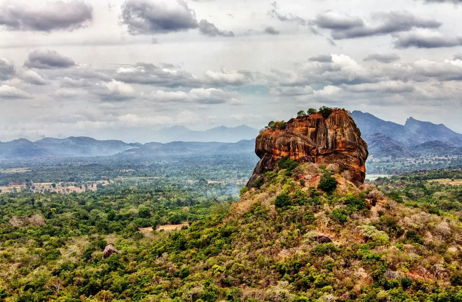 Le rocher de Sigiriya au-dessus de la forêt
