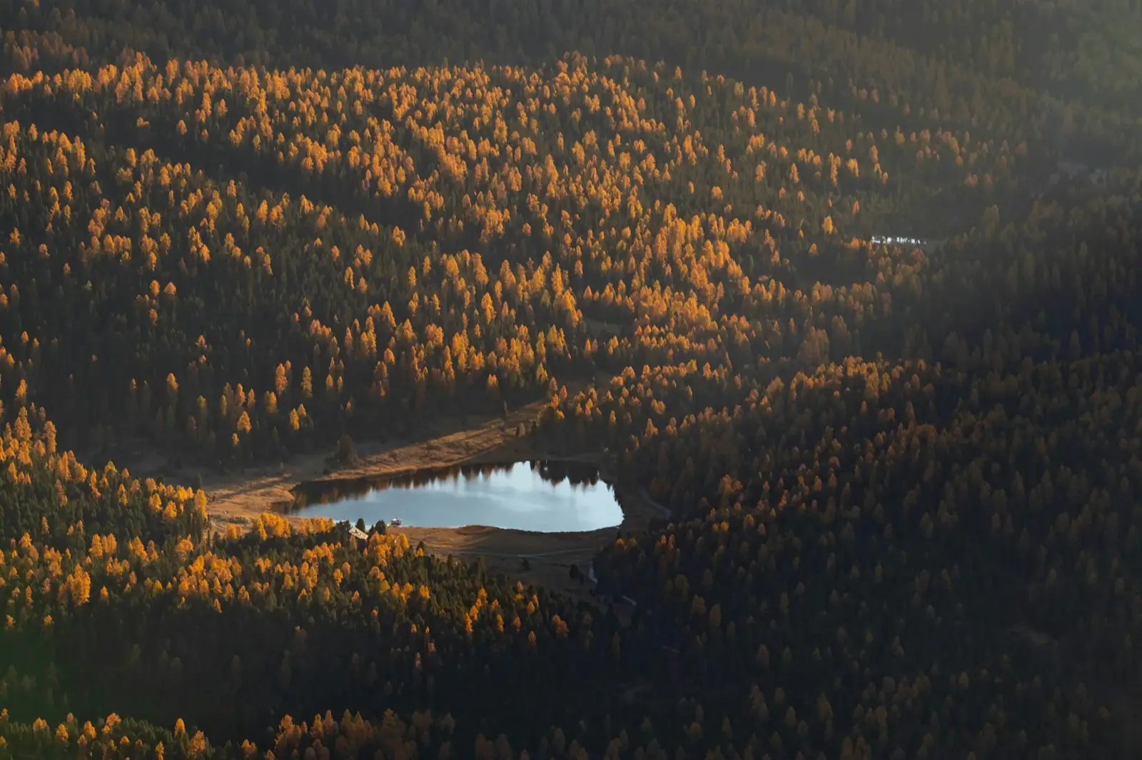 Petit lac au milieu des mélèzes d'automne, Engadine